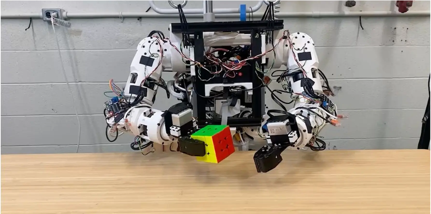Embodied Brain Lab