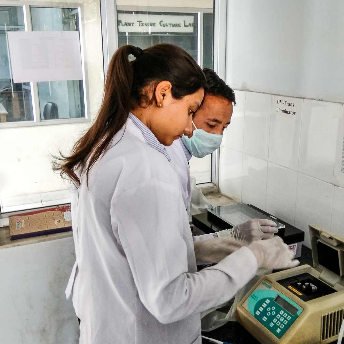 Quality Assurance  : The Role Of IQAC In Higher Educational Institutions Image
