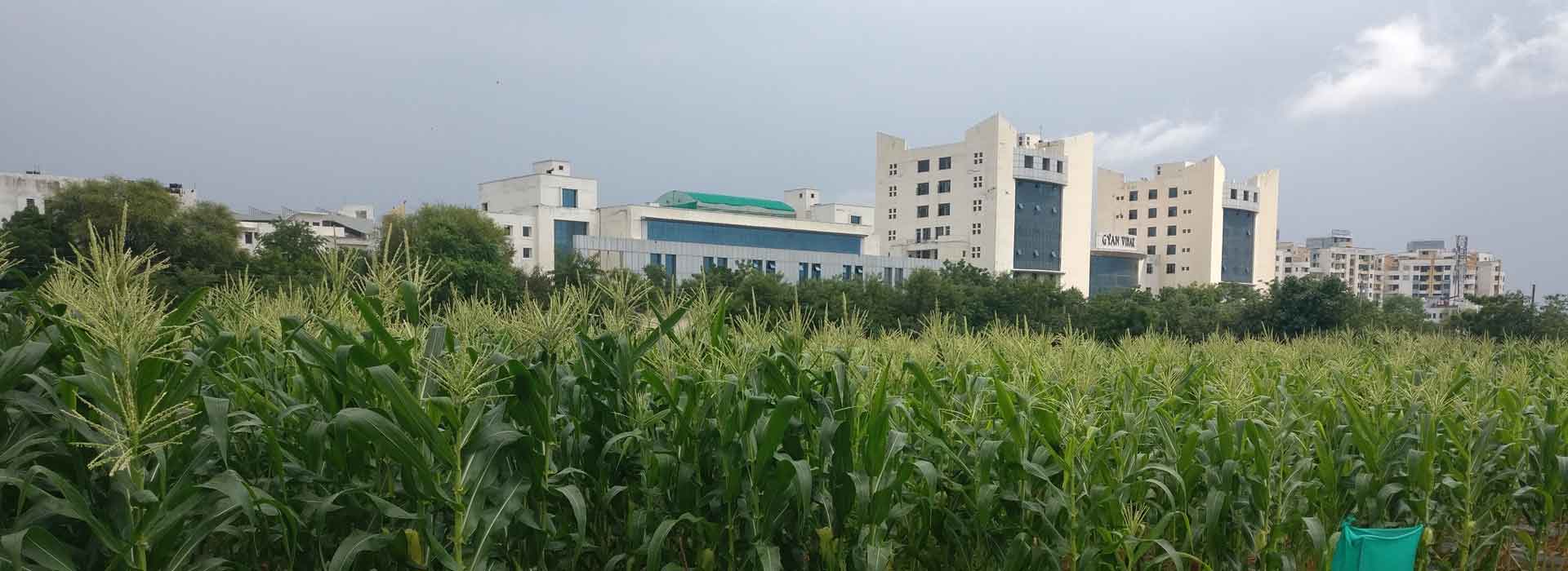Gyan vihar