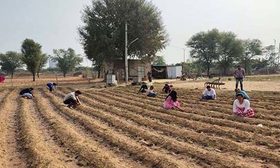 Gyan Vihar