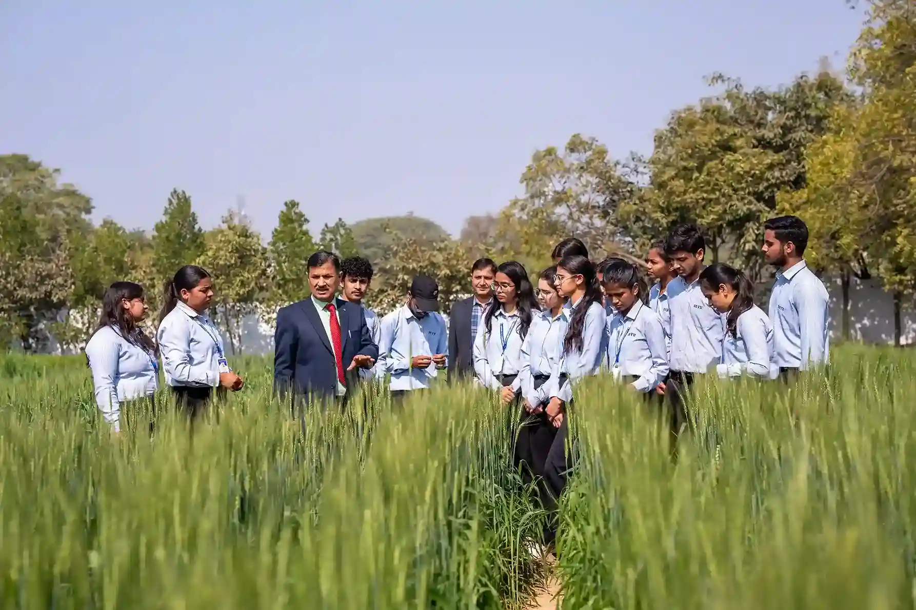 School of Agriculture