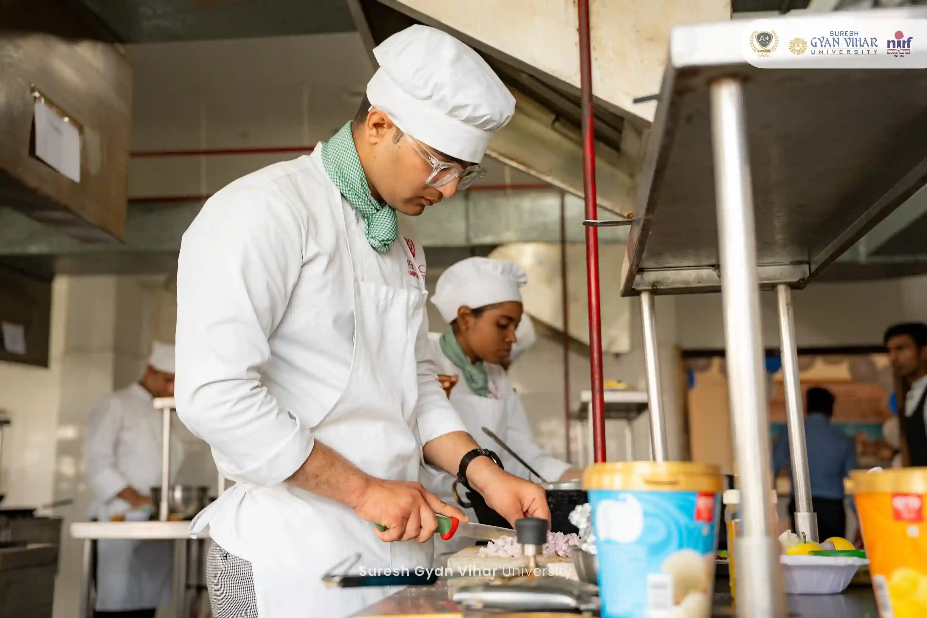 School of Hotel Management