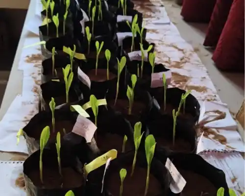Agronomy and Crop Science Facilities

