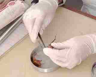 Entomology Laboratory
