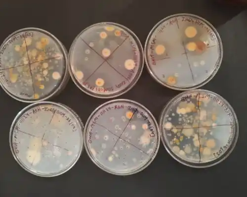 Biotechnology Laboratory
