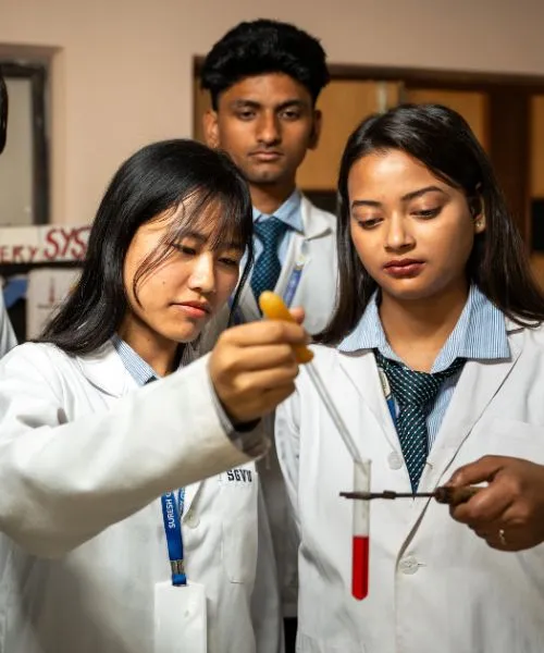 School of Pharmacy