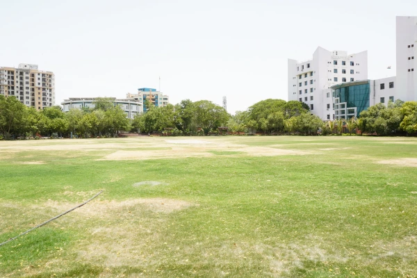 Play Ground