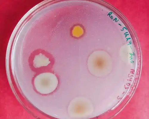 Plant Pathology Laboratory
